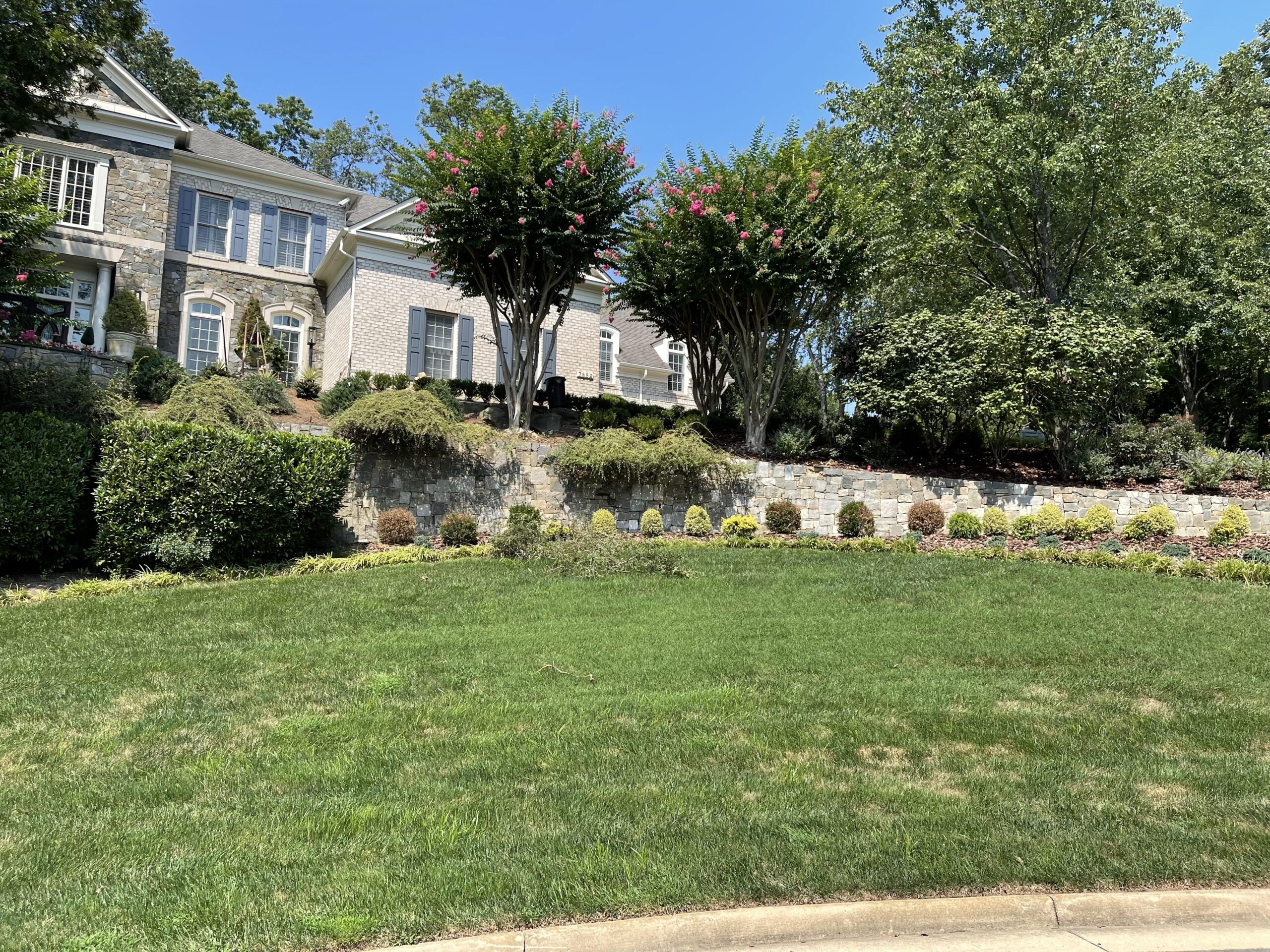 Signs Your Tree Is Dead and What to Do About It, Including Tree Removal, Trimming, and Branch Clean Up with Stokes Tree Solutions, LLC in Fairfax